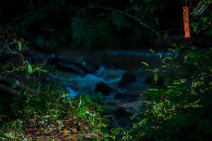 BIB: 
                            <button type="button" onclick="openModal(19306081)" class="btn btn-primary btn-sm float-right btn-popup" data-toggle="modal" data-target=".modal-high-quality">
                        <i class="fas fa-shopping-cart"></i> Add to Cart
                    </button>
                                            <button type="button" onclick="isThisMe(19306081, true)" class="btn btn-success btn-sm float-right btn-popup btn-isme hidden" data-toggle="tooltip" data-placement="bottom" title="นี่คือรูปของคุณใช่ไหม คลิกที่นี่เพื่อเอาเข้าอัลบั้ม">
                        <i class="fas fa-plus"></i> Add to album
                    </button>
                    <button type="button" onclick="isThisMe(19306081, false)" class="btn btn-warning btn-sm float-right btn-popup btn-isnotme hidden">
                        <i class="fas fa-ban"></i> Remove from album
                    </button>